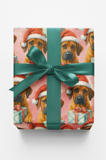 Courage Wrapped in Candlelight