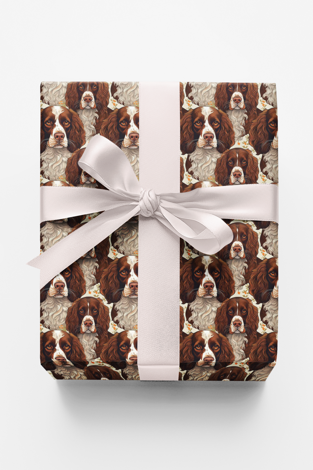 Paw Prints &amp; Springer Sprints