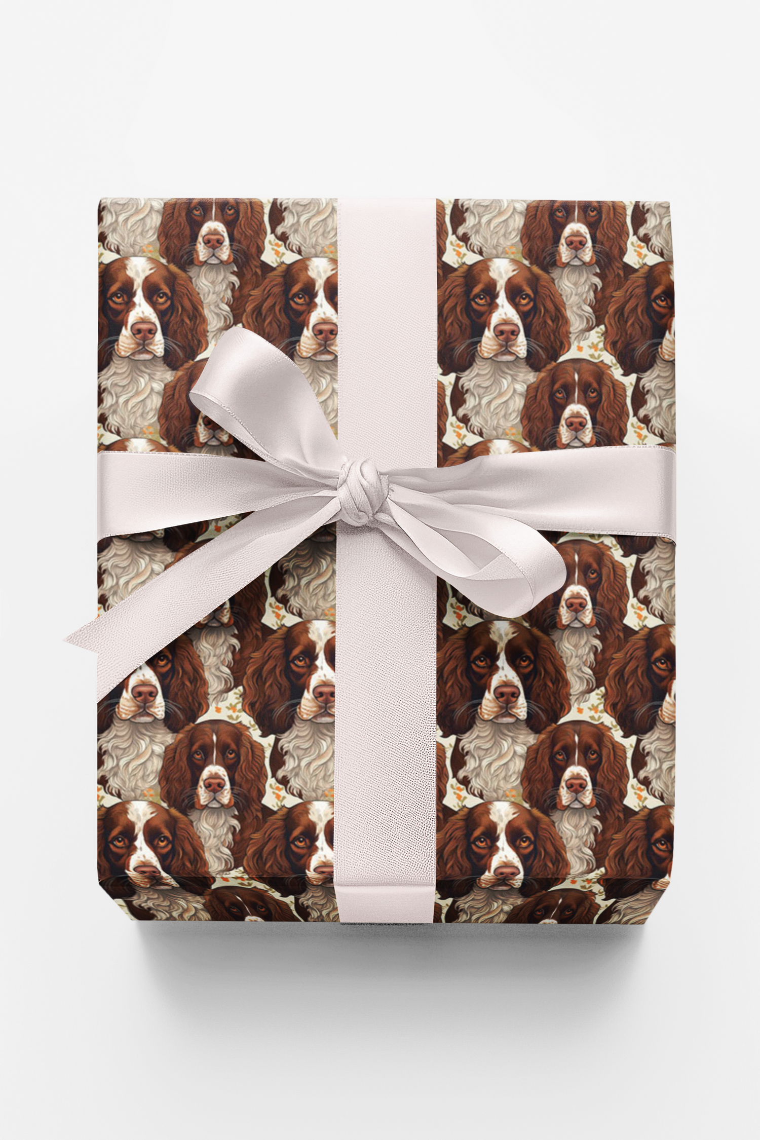 Paw Prints &amp; Springer Sprints