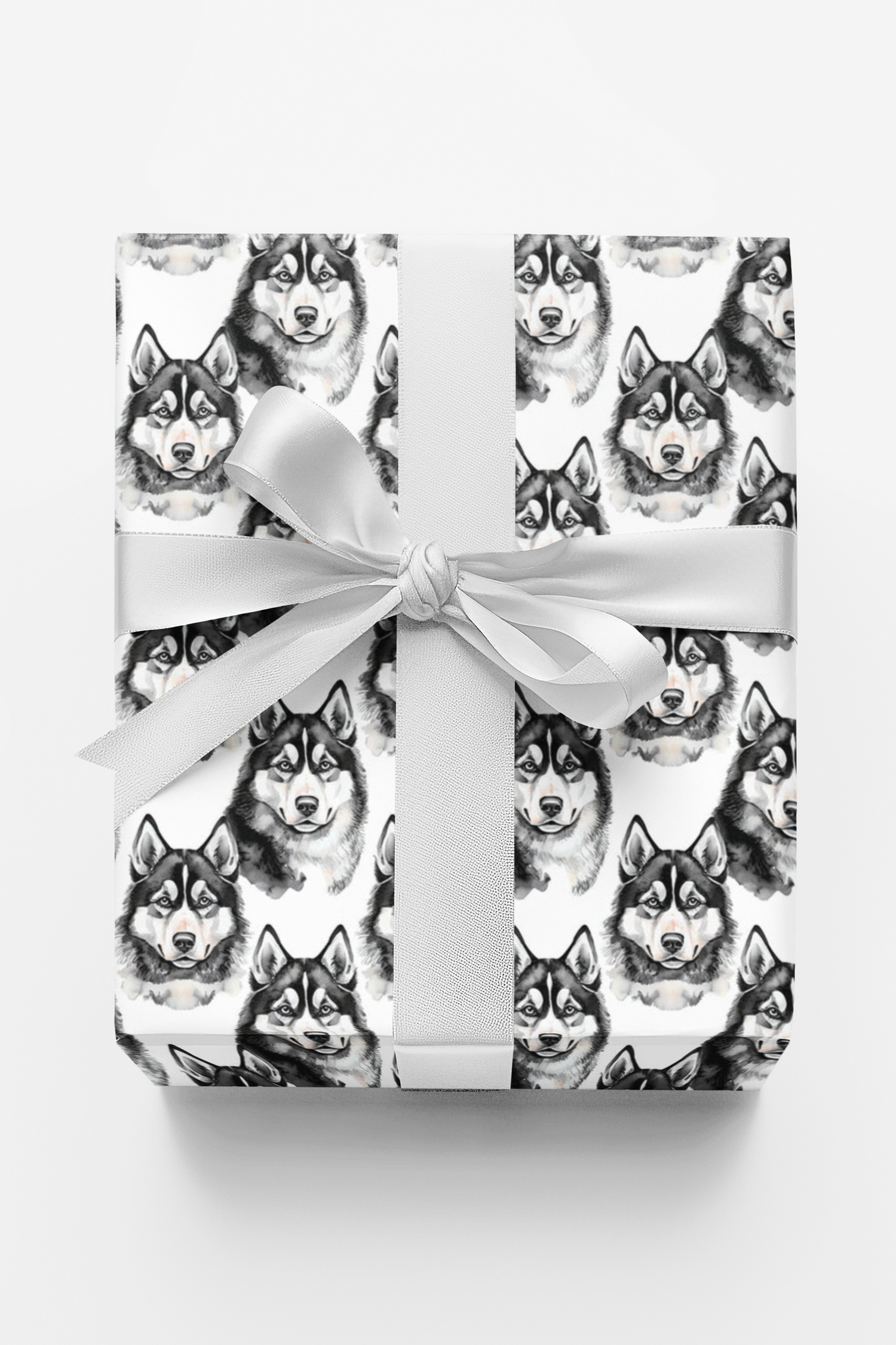 Snow Trails &amp; Husky Tails