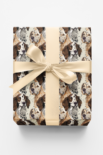 Setters in Stillness