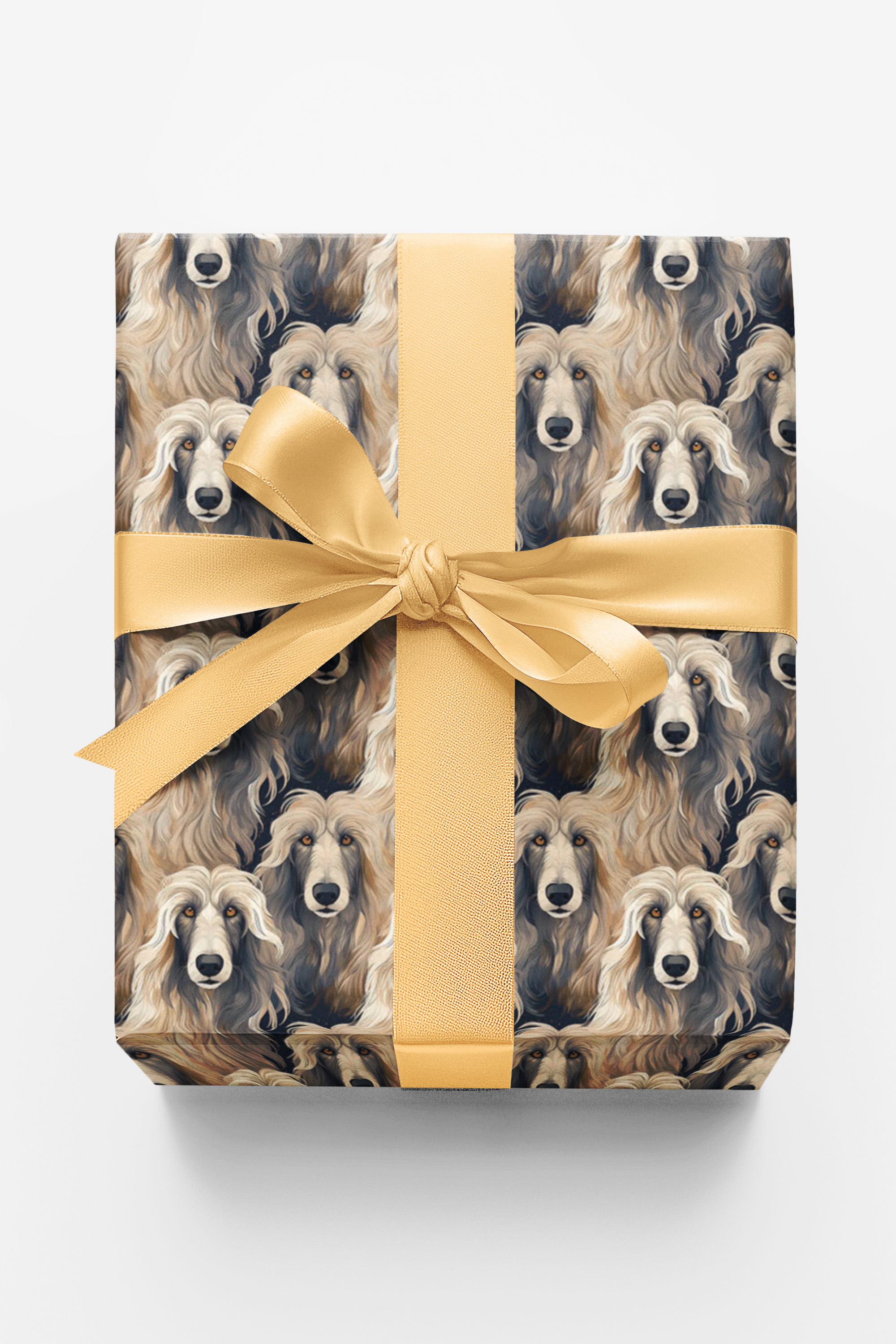 Afghan Hound Serenity