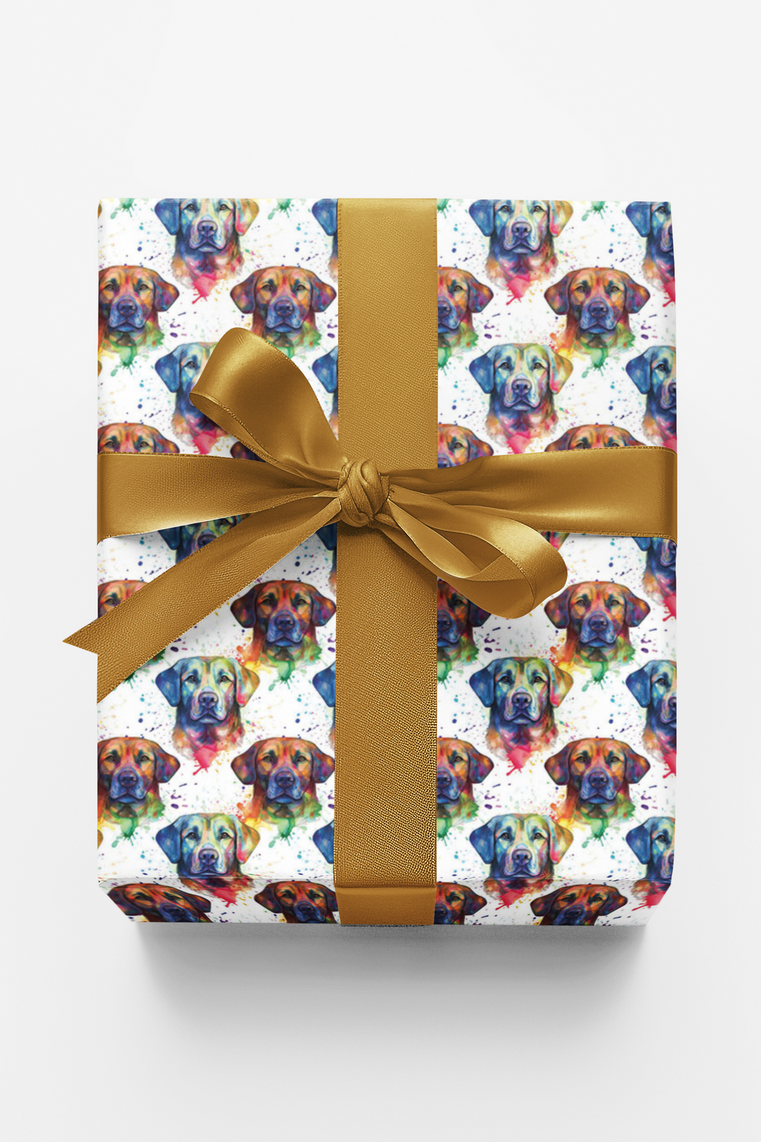 Technicolor Labrador Retriever