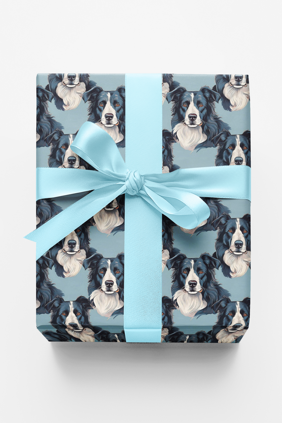 The Border Collie Look