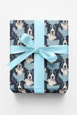 The Border Collie Look