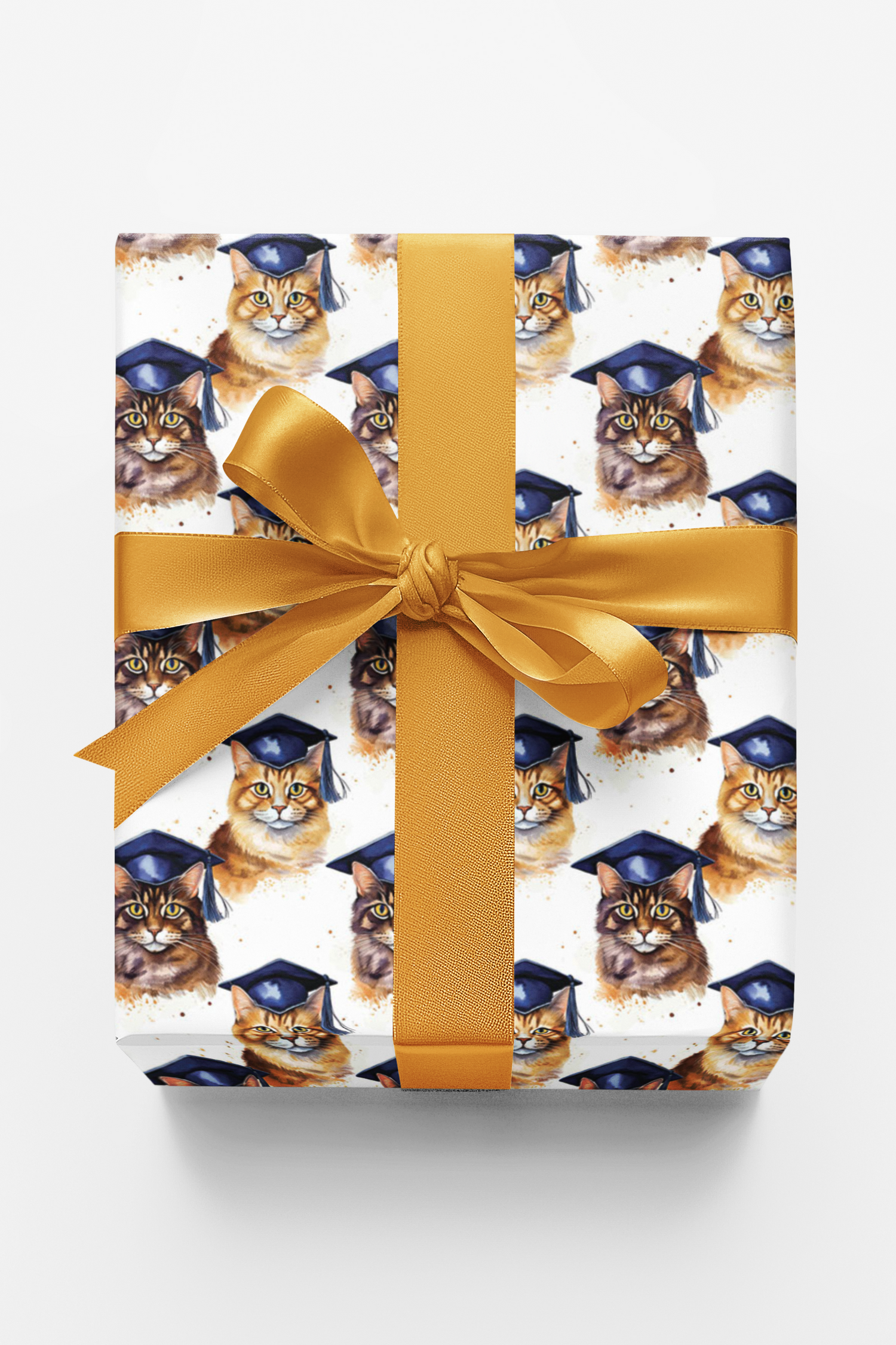 The Academic Catwalk