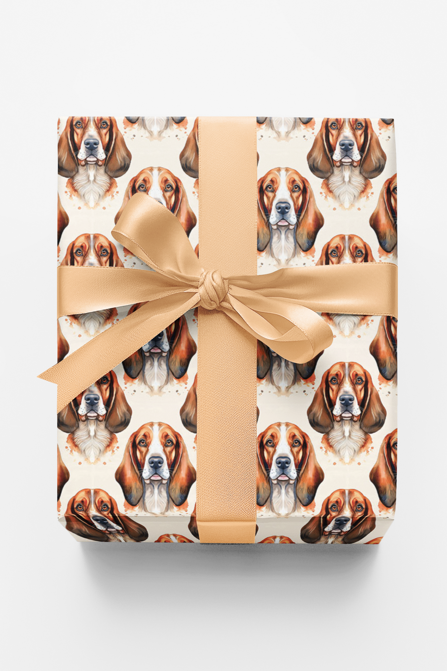 Low &amp; Loyal Basset