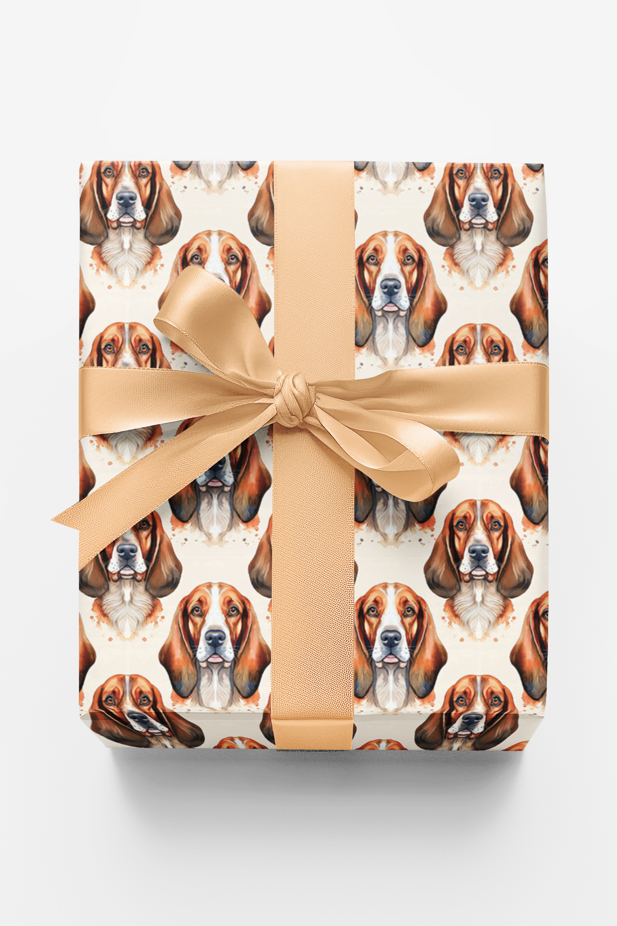 Low &amp; Loyal Basset