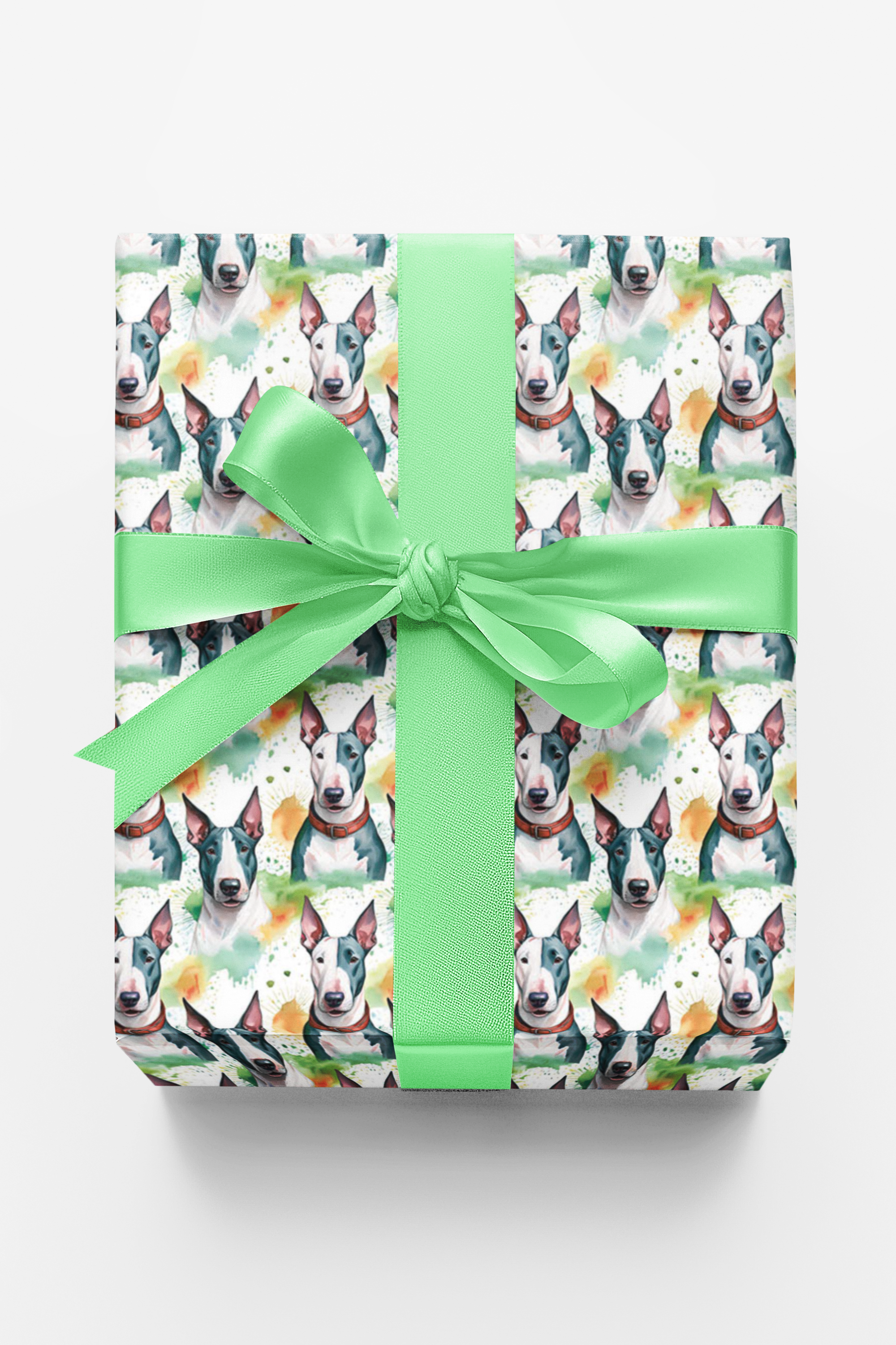 Bull Terrier Tumbles