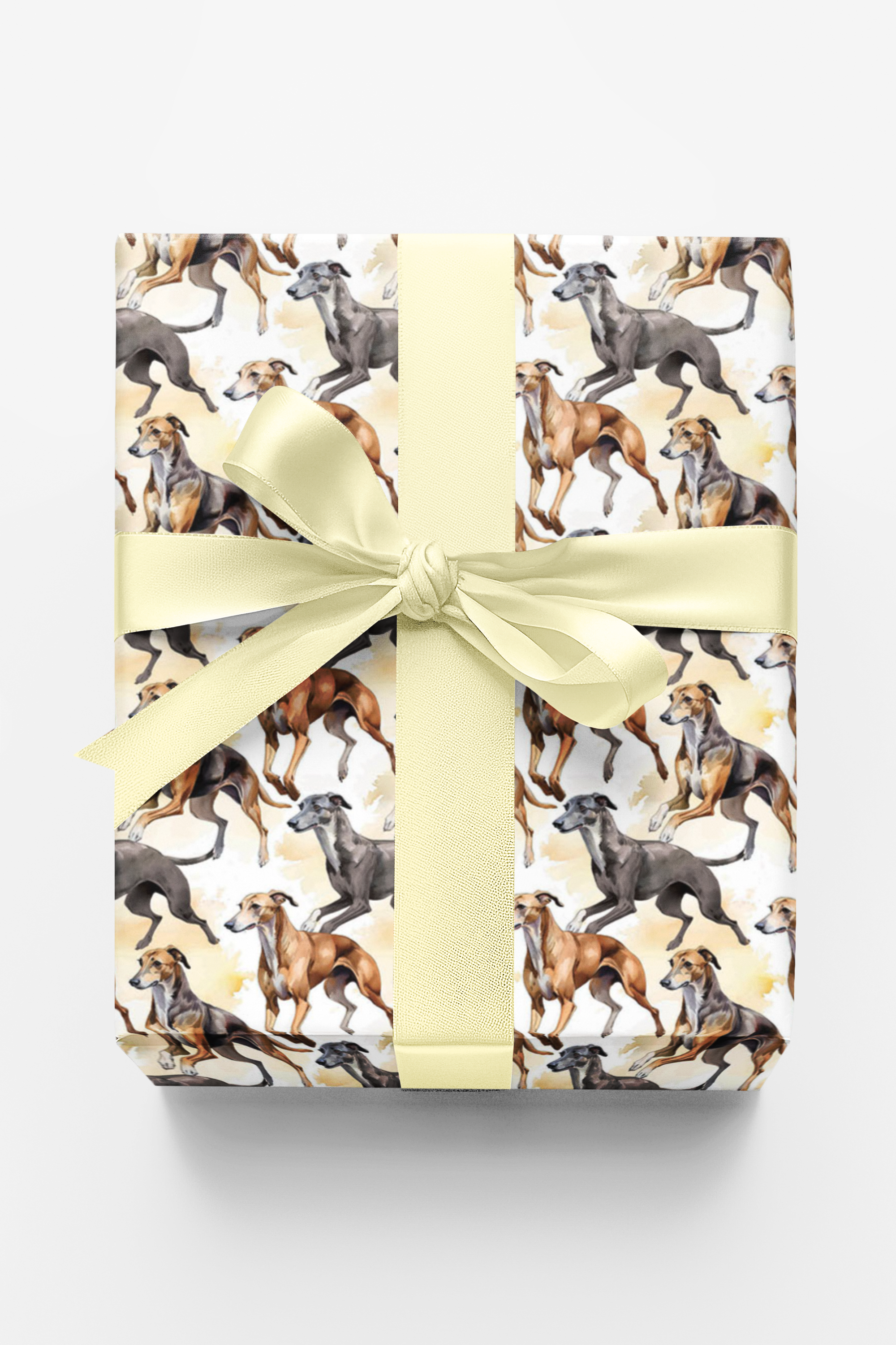 Speed &amp; Grace – Greyhound