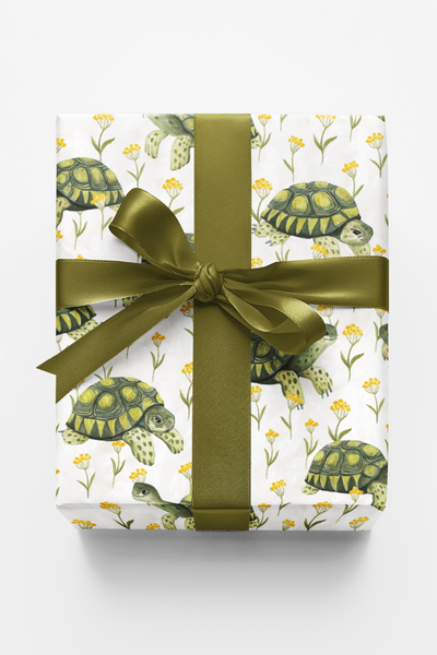 Shellabration Stroll