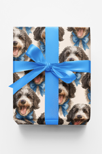 Señor Bow: The Spanish Water Dog