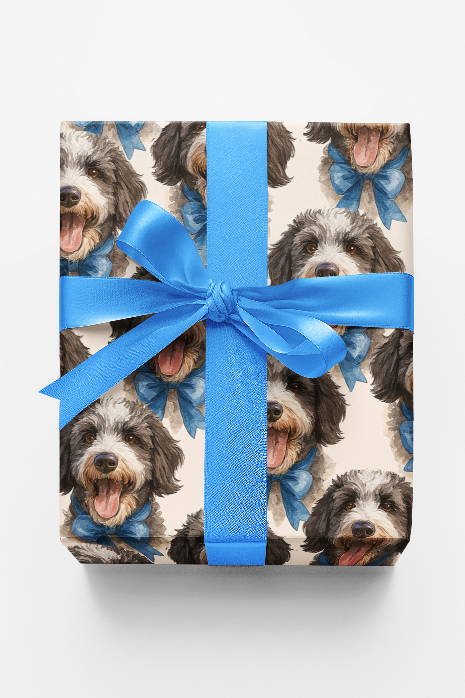 Señor Bow: The Spanish Water Dog