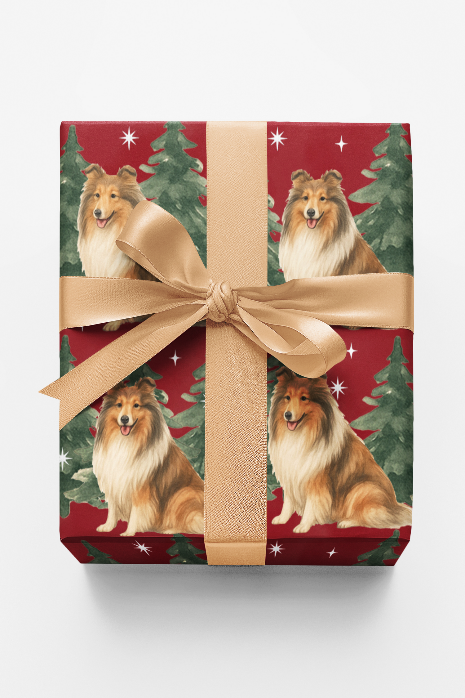 Collie in Winter Pines