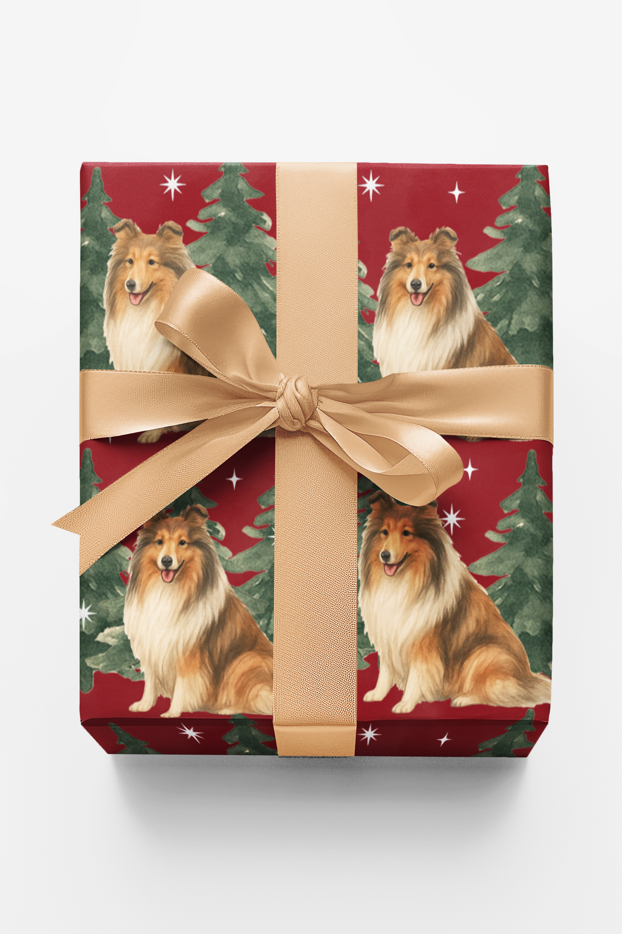 Collie in Winter Pines