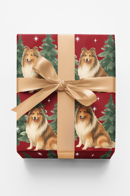 Collie in Winter Pines