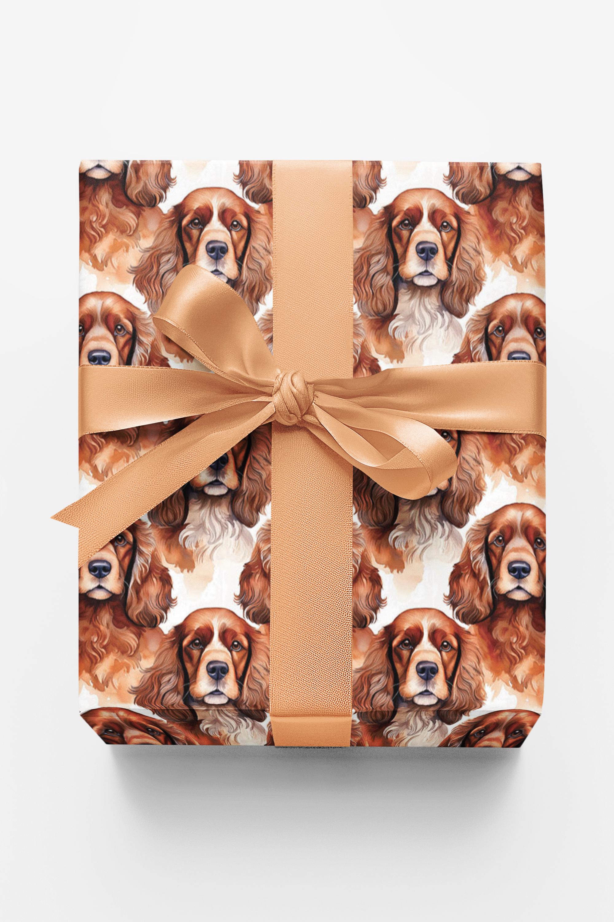 Floppy Ears &amp; Springtime Cheers