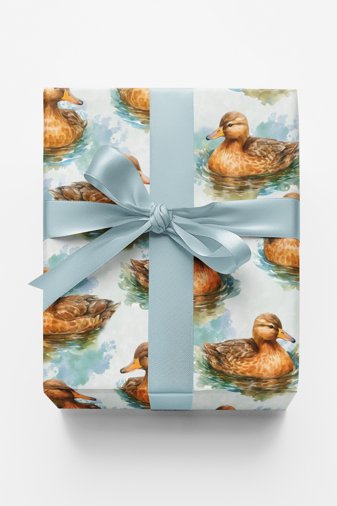 Ripples &amp; Feathers