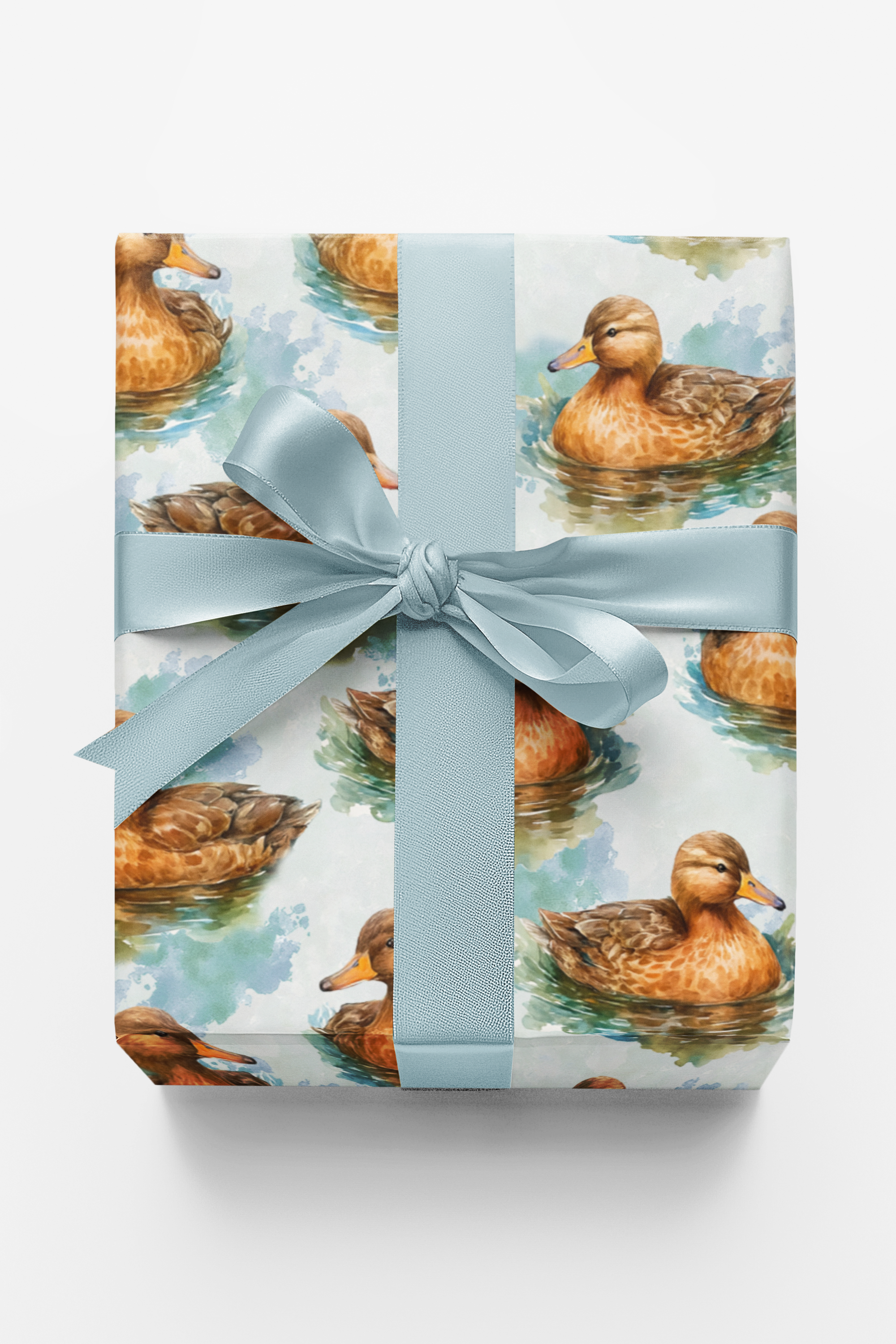 Ripples &amp; Feathers