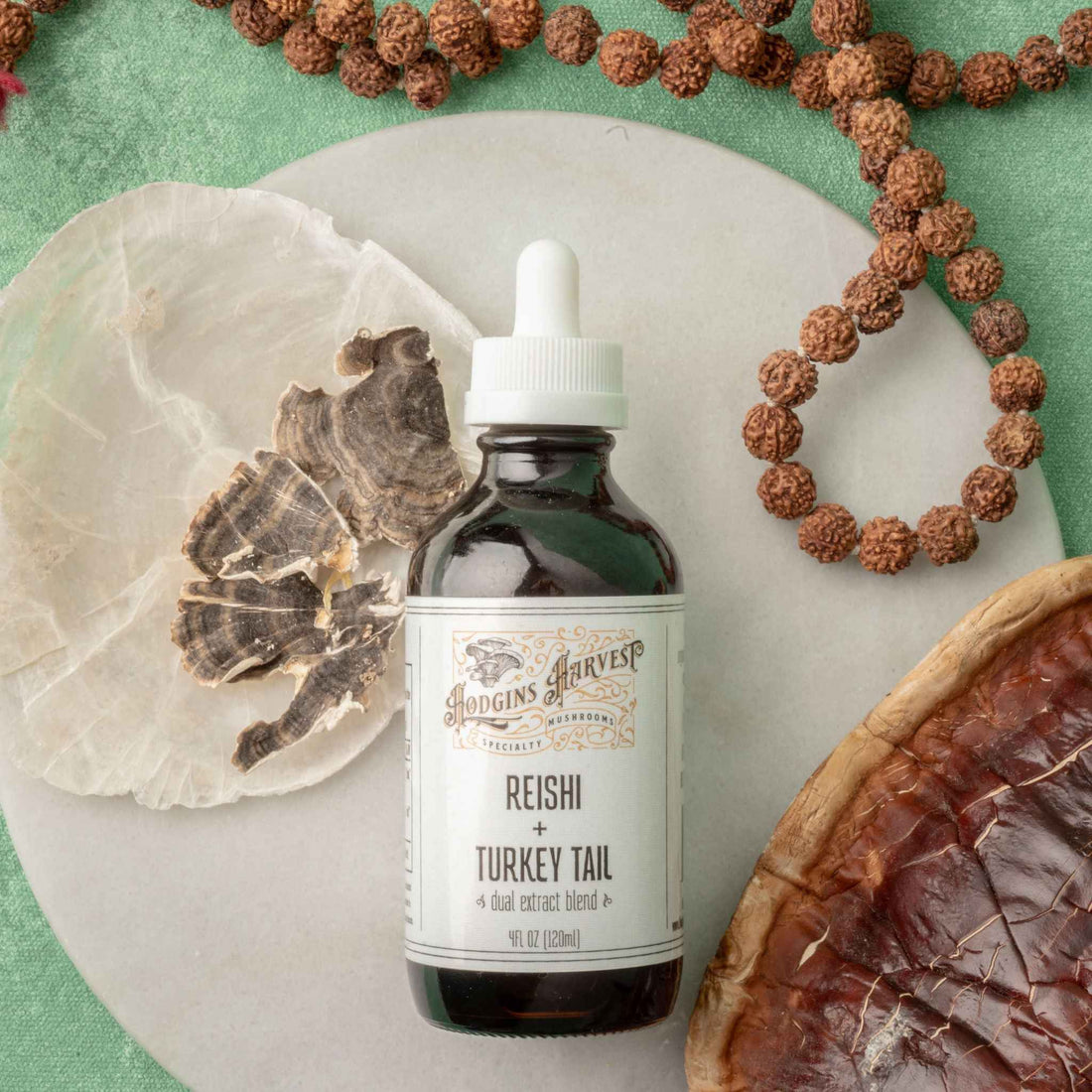 Reishi + Turkey Tail Dual Extract Tincture