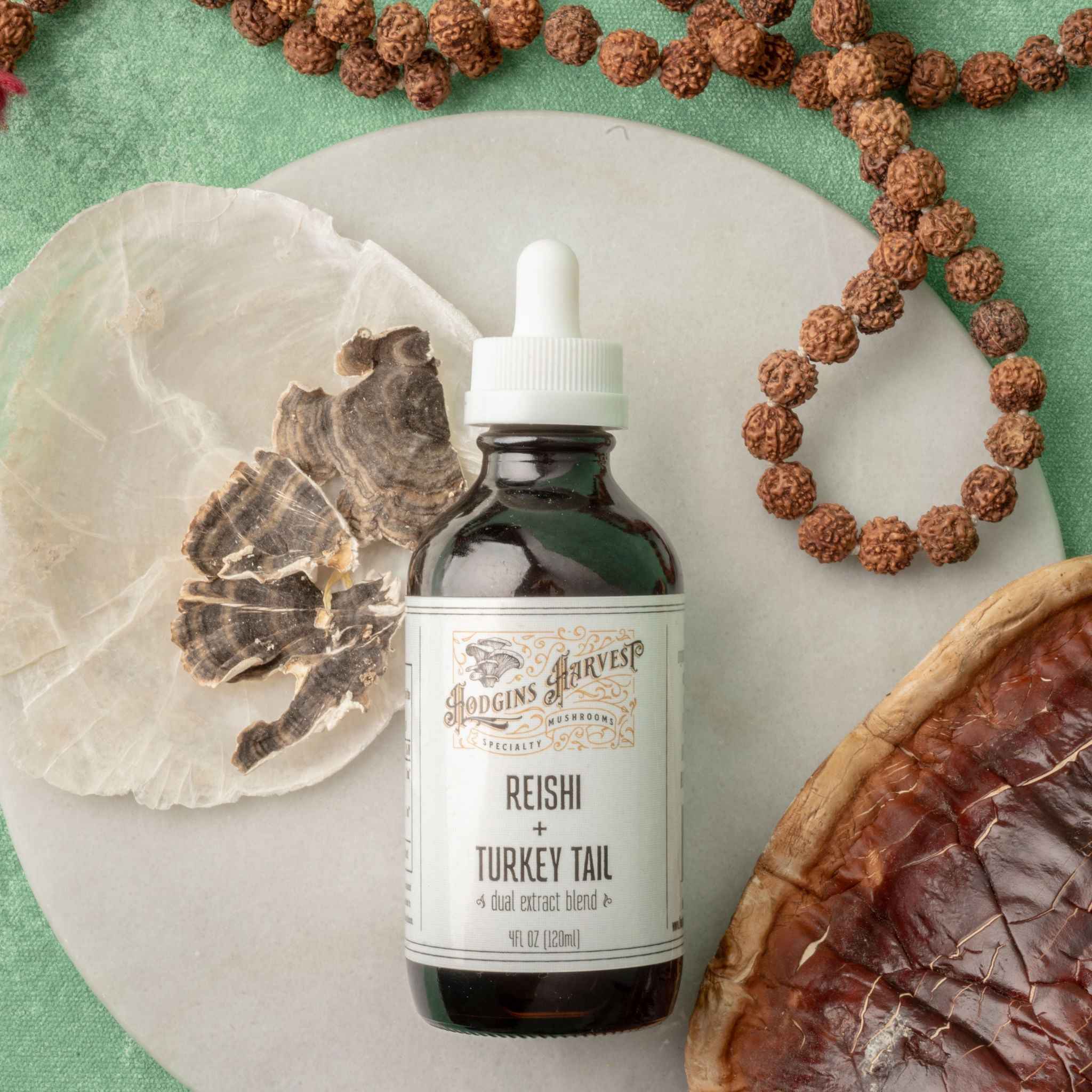 Reishi + Turkey Tail Dual Extract Tincture