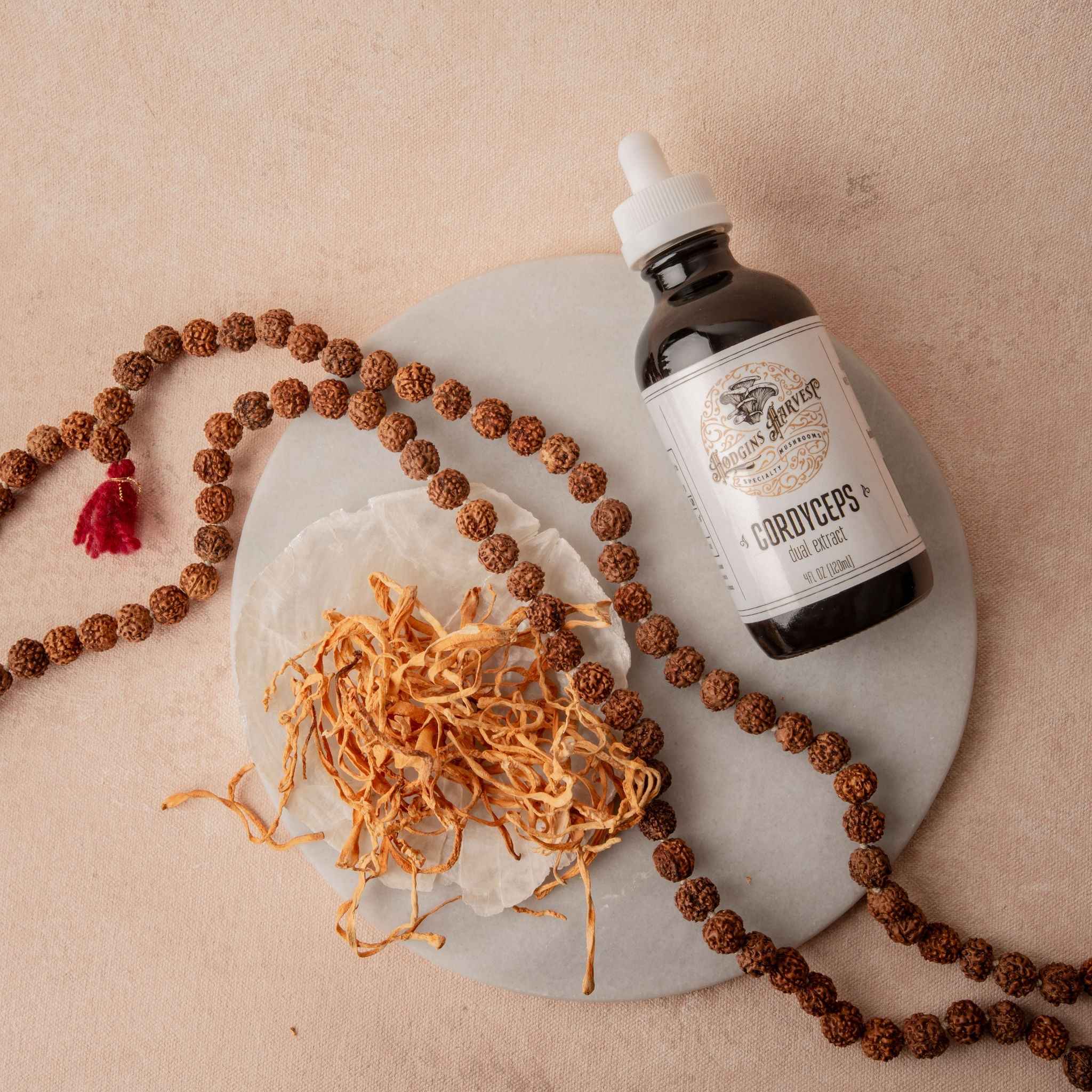 Cordyceps Dual Extract Tincture