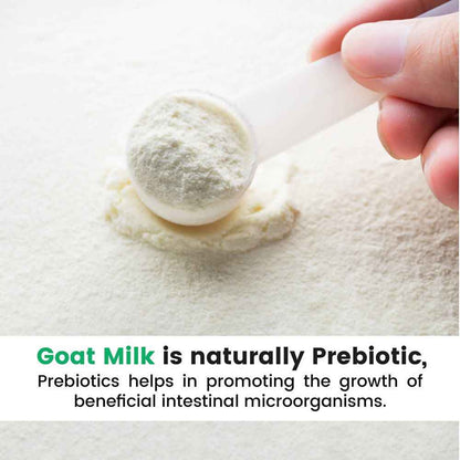 Hye Foods Goat Milk Powder