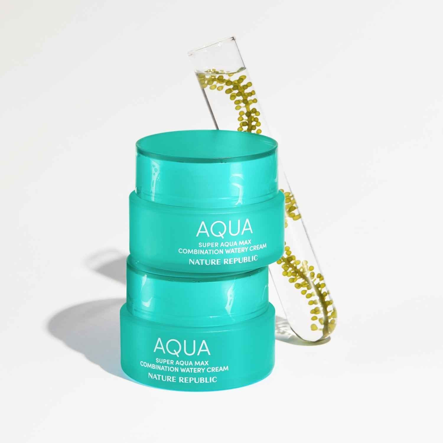 Nature Republic Super Aqua Max Combination Watery Cream (Combination Skin)