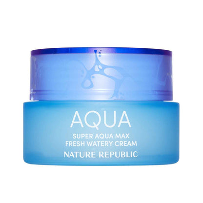 Nature Republic Super Aqua Max Fresh Watery Cream (Oily Skin)