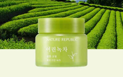 Nature Republic Mild Green Tea Cream