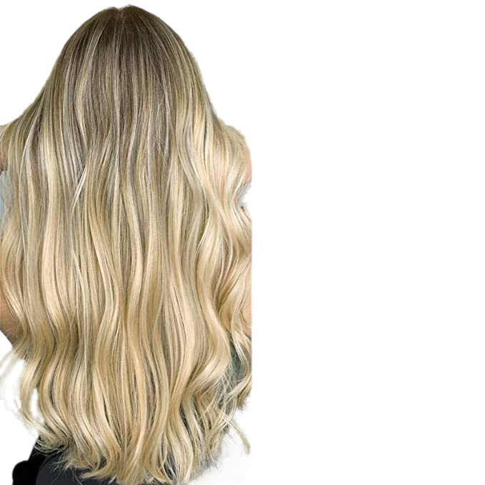 Human Hair Clip-In Extensions Straight, 18/613, 22 in  DestGlow