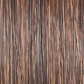 Raquel Welch Untold Story Wig - DestGlow
