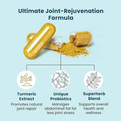 BB Company Provitalize | Probiotics for Women Digestive Health, Menopause, Joint Support | Sexy Midsection Curves, Bloat | Turmeric Curcumin Moringa | Packaging Vary | 60 Ct