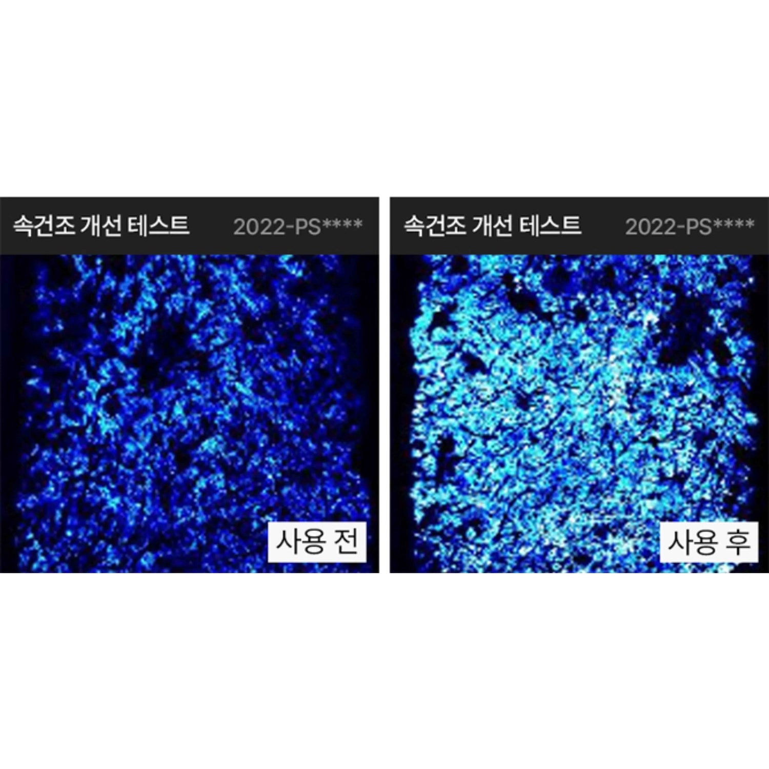 PERCENT SCIENCE Cellinol-5 Cream 2.0 Oz. - Patented Anti-Wrinkle &amp; Lifting Complex with Brightening Effects