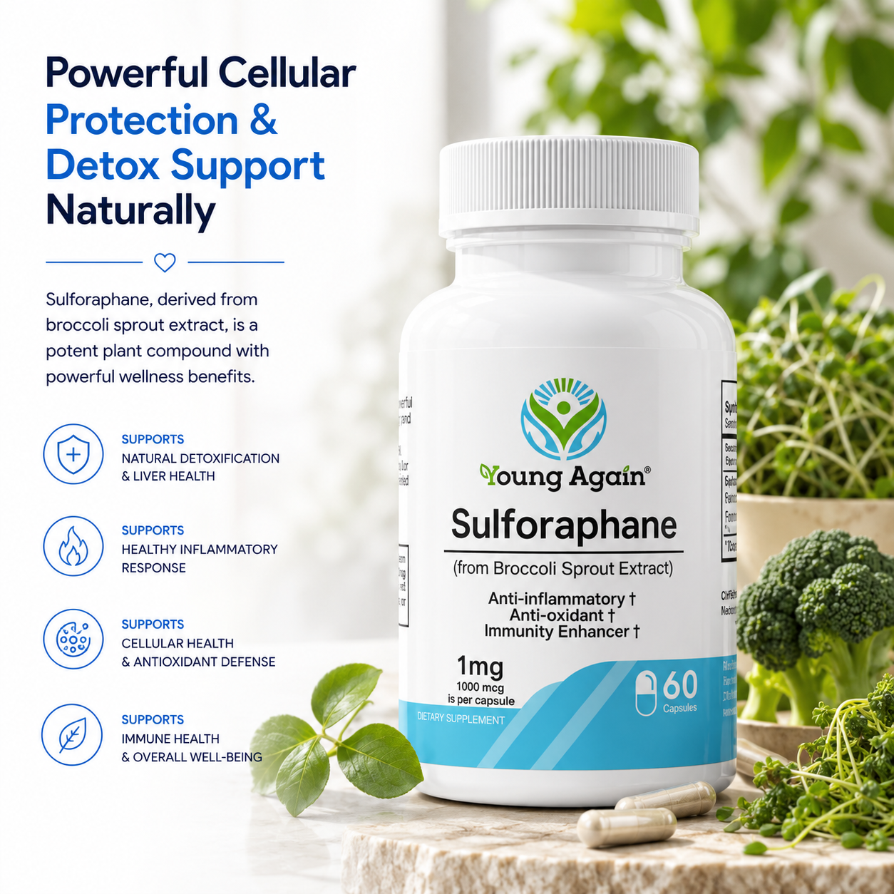 Sulforaphane - Natural Immunity Booster Supplement by Young Again
