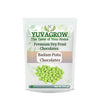 Yuvagrow Badam Pista Chocolates