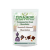 Yuvagrow Roasted Almond Chocolates