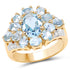 14K Yellow Gold Plated 4.28 Carat Genuine Blue Topaz .925 Sterling Silver Ring by Bids.com
