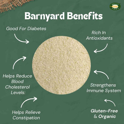 Millet Amma Barnyard Millet Rava (Suji)