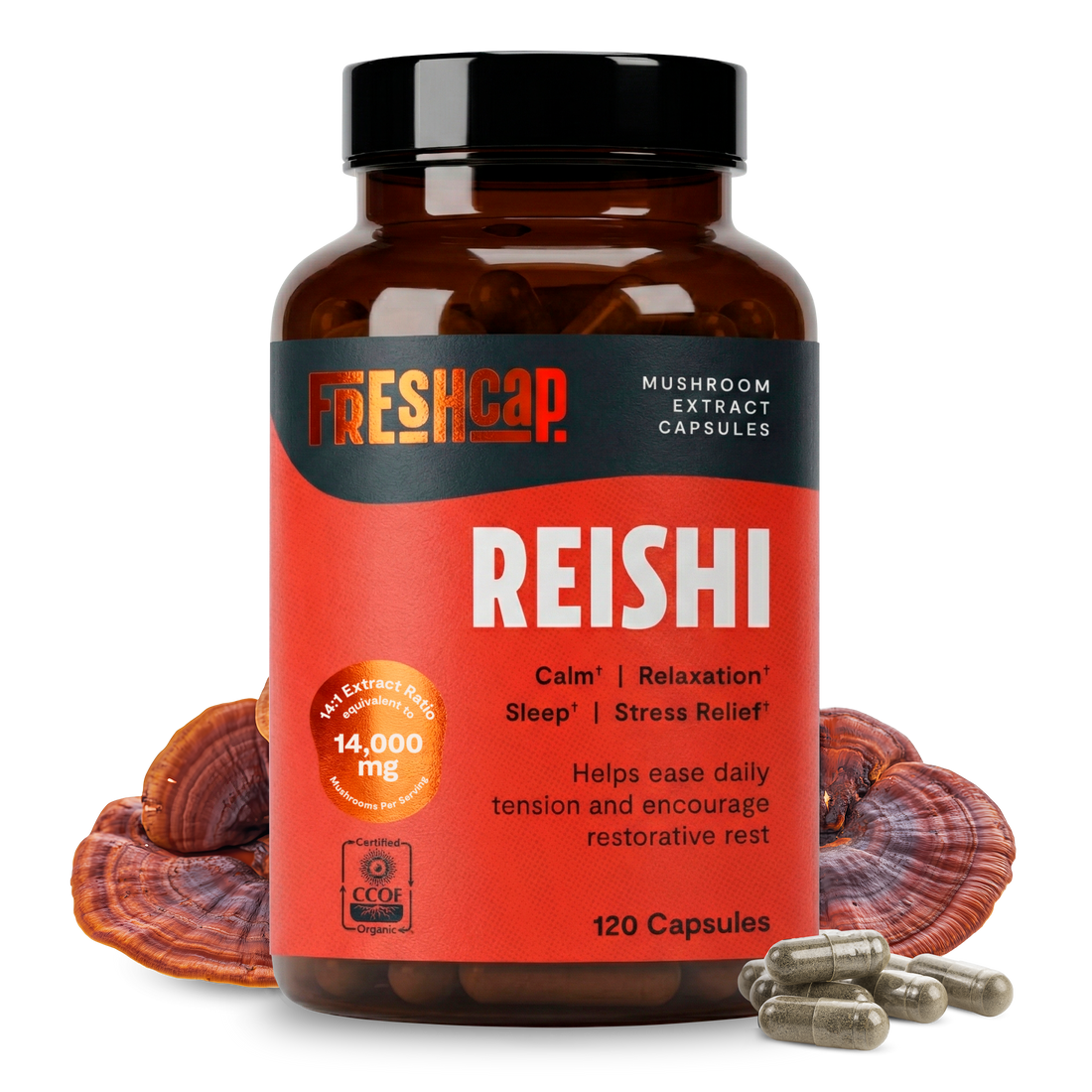 Reishi Mushroom Extract Capsules by FreshCap Mushrooms