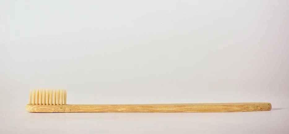 Bamboo Toothbrush. Soft, Eco-Friendly