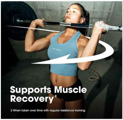 Gold Standard Whey 100% Protein 2 lb Optimum Nutrition ON Isolate Chocolate