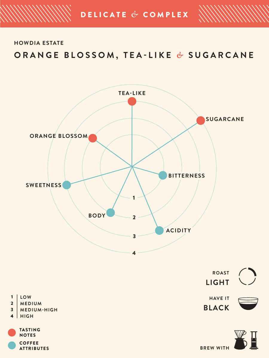 Blue Tokai Howdia Estate