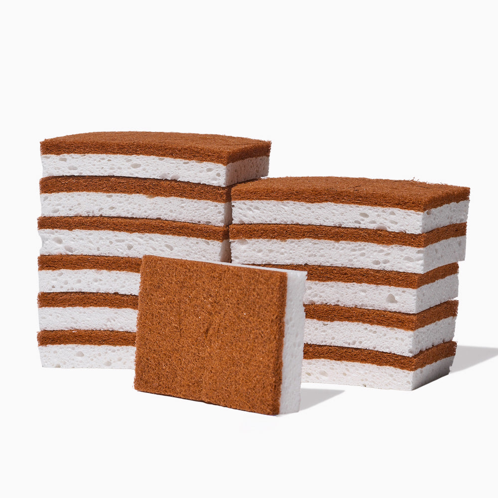 Scrubber Sponges 
