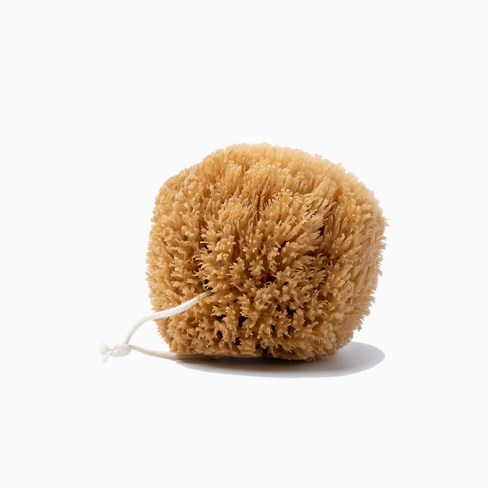 Natural Grass Sea Sponge 