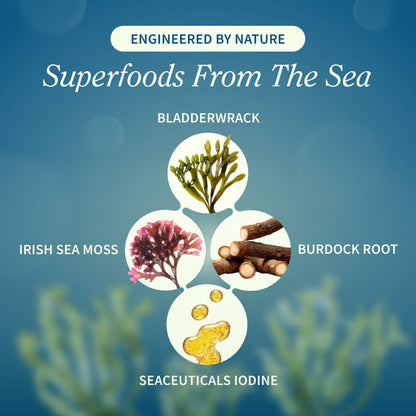 Irish Sea Moss w/ Iodine Energy Support - Buy 2, Get 1 FREE! by Snap Supplements