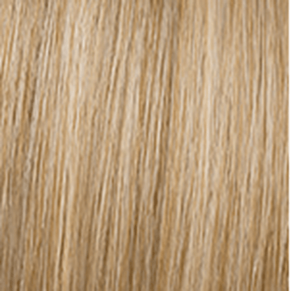Hairdo 18" Simply Wavy / Beach Curl Wrap-Around Pony