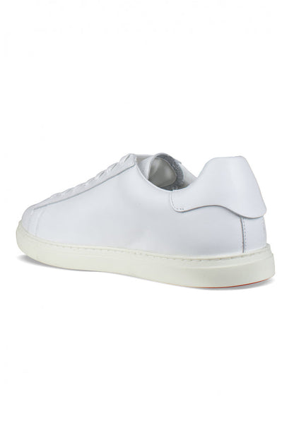 Dsquared2 Men Sneakers by Luosophy