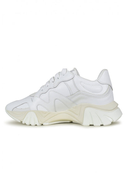 Versace Men Squalo Sneakers by Luosophy