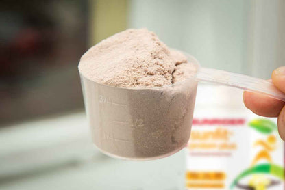NOW AVAILABLE SunFit Protein Plus - Unique Protein Powder by Sunrider
